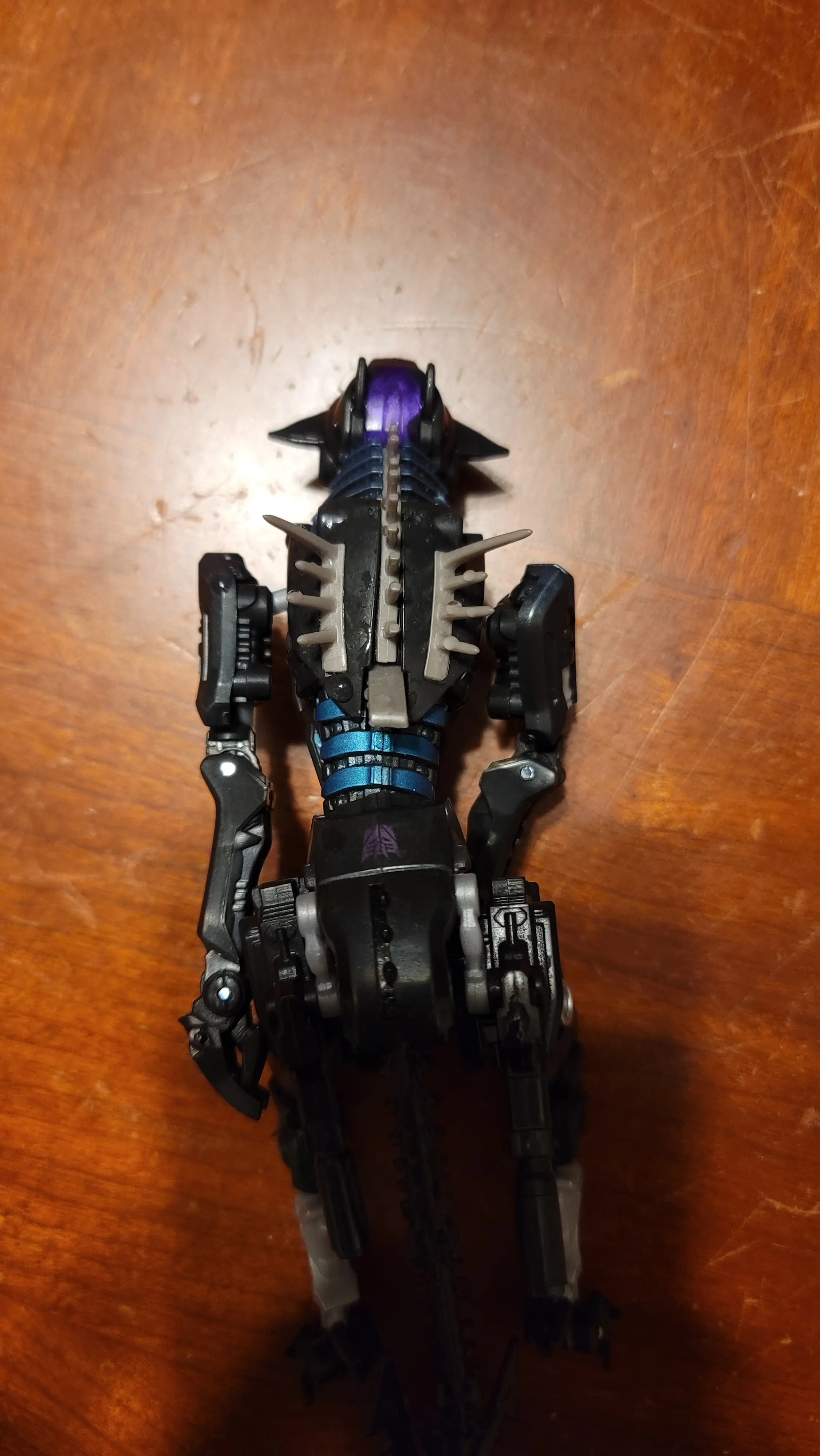 Ravage spine remolding